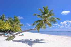 maldive tourix